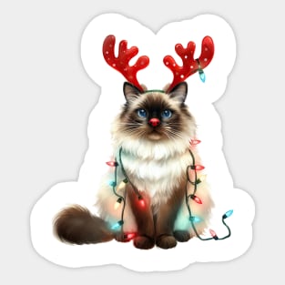 Christmas Red Nose Balinese Cat Sticker